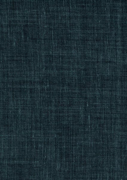 Halle Midnight Fabric (J)