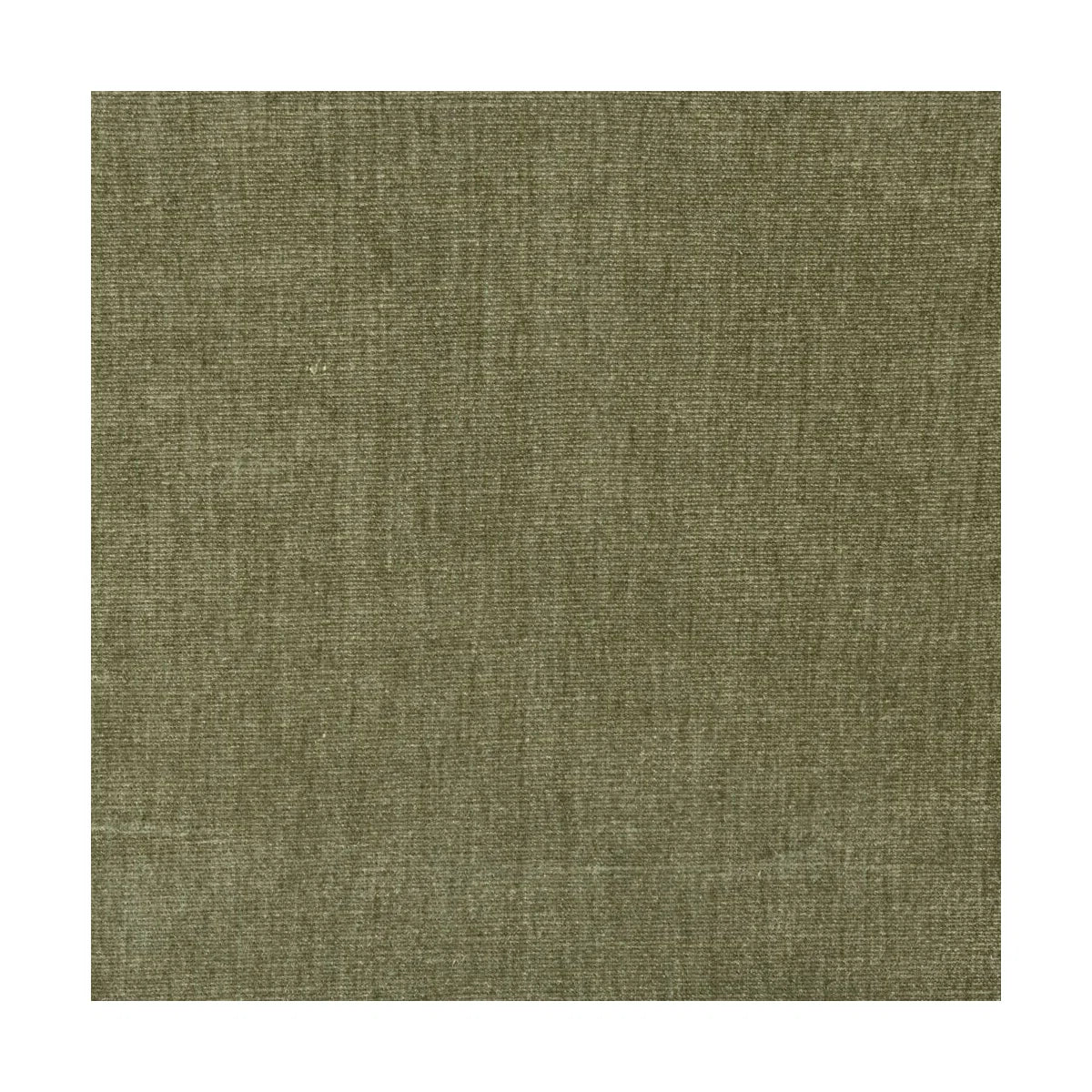 Leno Olive Fabric (J)