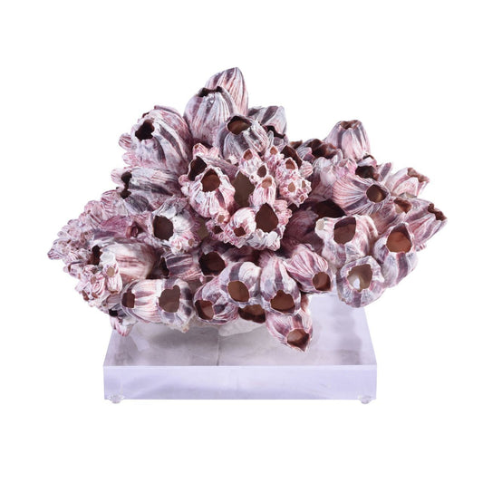 Barnacle Coral On Acrylic Base -Small